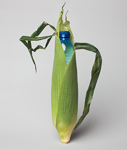 The Promise And Pitfalls of Bioplastic