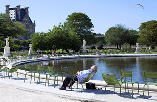 Frances Labor Paradox