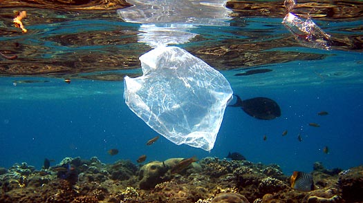 Plastic in the Ocean: The Pacific Trash Vortex