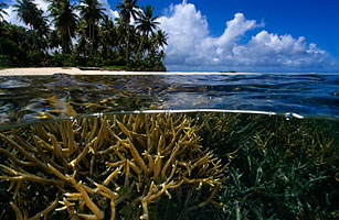 Proposed Micronesia-Wide Conservation Park a World First