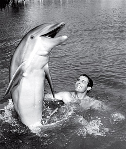 Documentary Review: The Cove