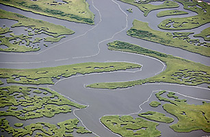 BP Oil Spill: Has Environmental Damage Been Exaggerated?