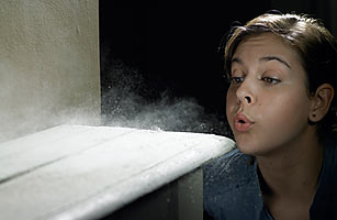 Study: Household Dust Contains Poisons, Allergens, DDT