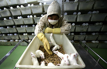 How Much Does Animal Testing Tell Us?