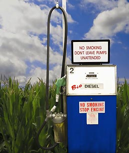 Tallying Biofuels Real Environmental Cost