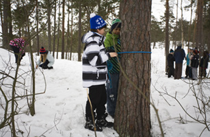 Finlands Educational Success? The Anti-Tiger Mother Approach