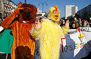Belgium Breaks Record for Longest Time Without Government