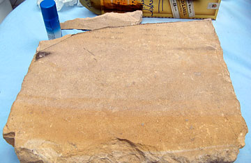 Was Jesus Resurrection a Sequel?