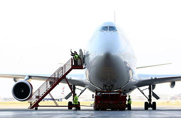Can Airplanes Fly on Biofuel?