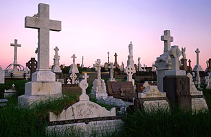 Aquamation, a Form of Cremation: Better for the Environment?