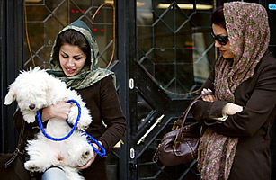 Iran: Dog Ownership to Be Outlawed Under Lawmakers Plan