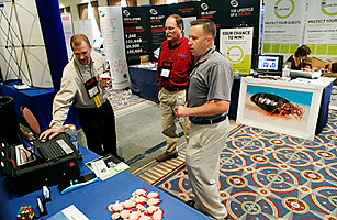 Bedbug Outbreak: Grim Summit on How to Fight Infestation