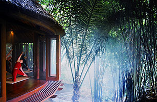 Balis Travel Boom: Eat, Pray, Love Tourism