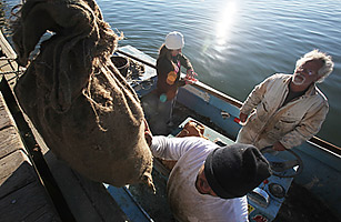 The BP Oil Spill: How Healthy Is the Gulf One Year Later?