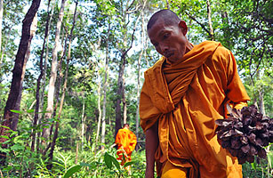 Monks Fight to Get Cambodian Forests on the Carbon Market
