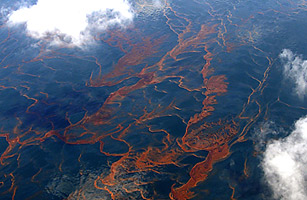 From the Top Down, Sloughing Off Blame for the Spill