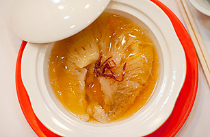 Extinction in a Bowl of Shark-Fin Soup