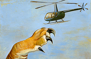 Tiger-Mom War Over Chinese Parenting Reflects U.S. Anxiety