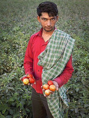 India: A New Crop Of Consumers