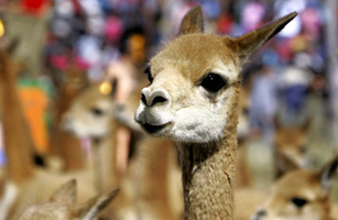 Self-Serving Stewardship: How Manufacturers Help the Planet