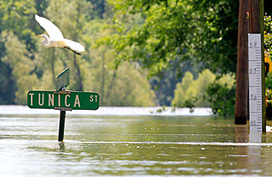 How the Floods May Restore Louisianas Wetlands
