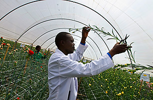 This Time for Africa?