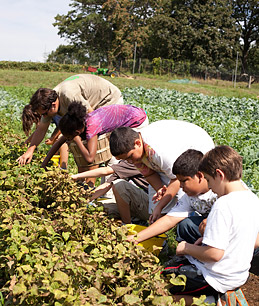 Farm Camps Offer a Down-to-Earth Respite from Technology