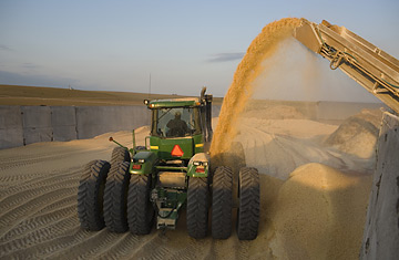 Why Our Farm Policy Is Failing