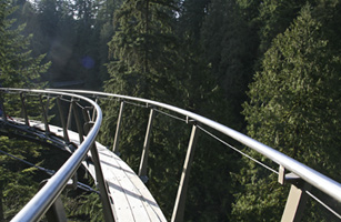 The Capilano Cliffwalk: Living the High Life