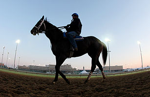 The Kentucky Derby Must Kick Its Drug Problem