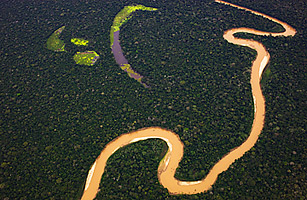 Sustainable Forests: Bolivias Pioneer Indigenous Plan