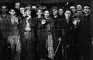 Study: PTSD Survivors Children May Have Genetic Scars