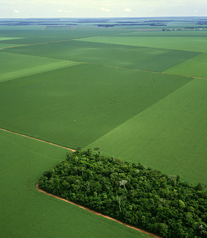 The Clean Energy Scam