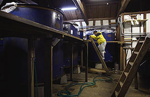 Japans Artisanal Sake Industry Revives After Quake