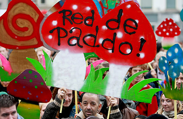 Amsterdam After the Mushroom Ban