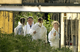 Steam and Bean Sprouts: On the Trail of the Killer Bacteria