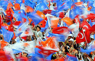 Something for Everyone: Why Turkeys Vote is Good for Democracy