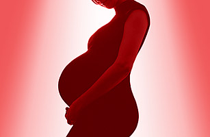 Chinas Born in the USA Frenzy