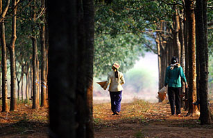 In Vietnam, New Fears of a Chinese Invasion