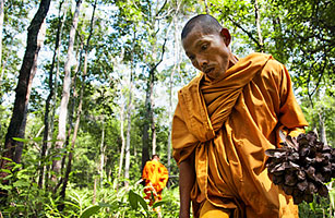 Battle of the Jungle