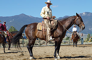 Buck: Horseman, Dont Pass By