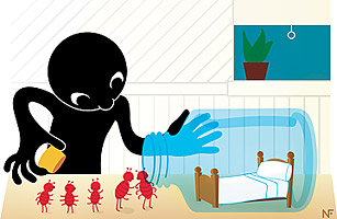 How to Build Your Own Bedbug Detector at Home