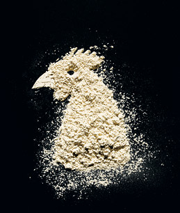 Tastes Like Chicken: The Quest for Fake Meat