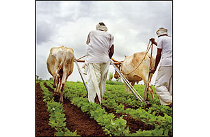 Why the Worlds Farmers are Back in Business