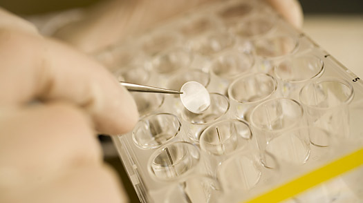 A Brief History of DNA Testing