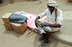 Yemens Mysterious Militants: Are They Really Al-Qaeda?