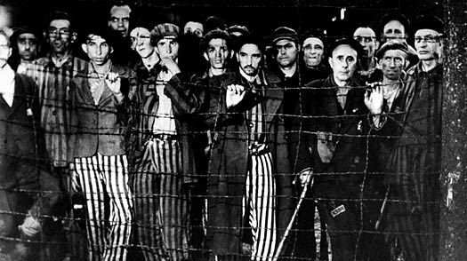 A Brief History Of Genocide