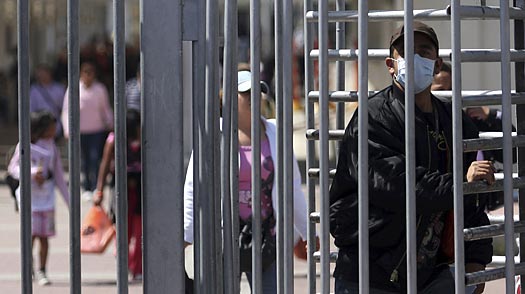 Why Border Controls Cant Keep Out the Flu Virus