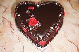 Biology: Your Brain In Love