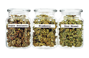 Medical Facts About Marijuana